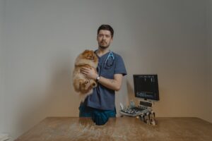 List of 20+ when to take cone off dog after neuter 1 When to Take Cone Off Dog After Neuter?